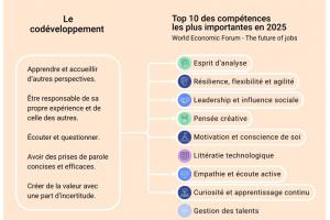 COMPETENCES développées par le CODEV